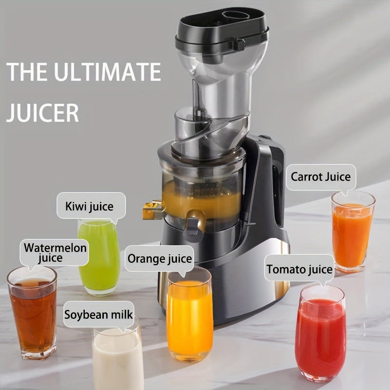 EU Plug Hilton Cold Press Juicer, 300W Slow Masticating Machines with Large Feed Chute for Whole Fruits & Vegetables, Easy to Clean, High Juice Yield, DIY Ice Cream, Stainless Steel