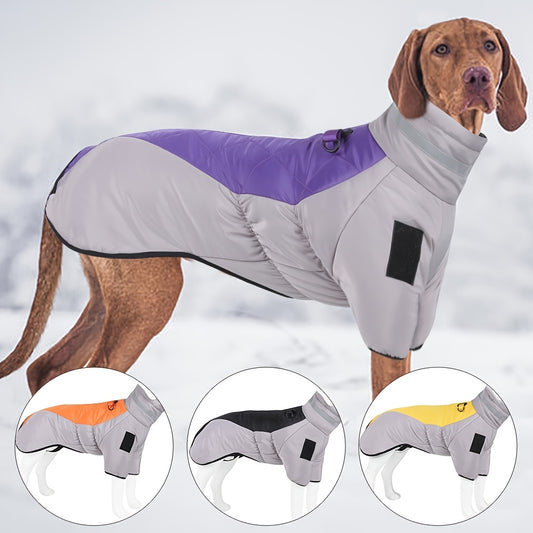 Waterproof winter dog jacket with warm, reflective material and D-ring for medium breeds.