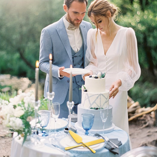 2-piece stainless steel cake serving set, perfect for birthdays, weddings, parties, and events.