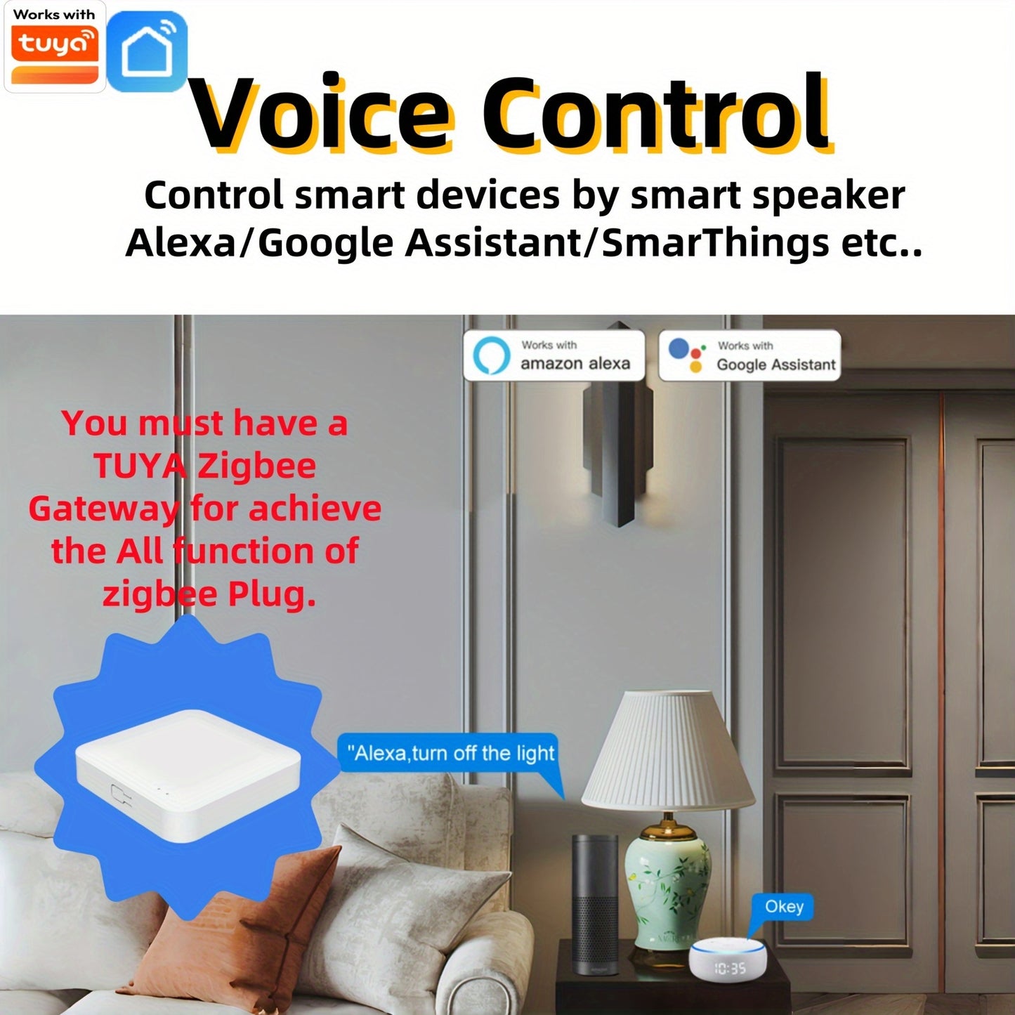 European standard Zigbee smart plug for 110V/220V power supply, flush mount, Alexa compatible for various devices.