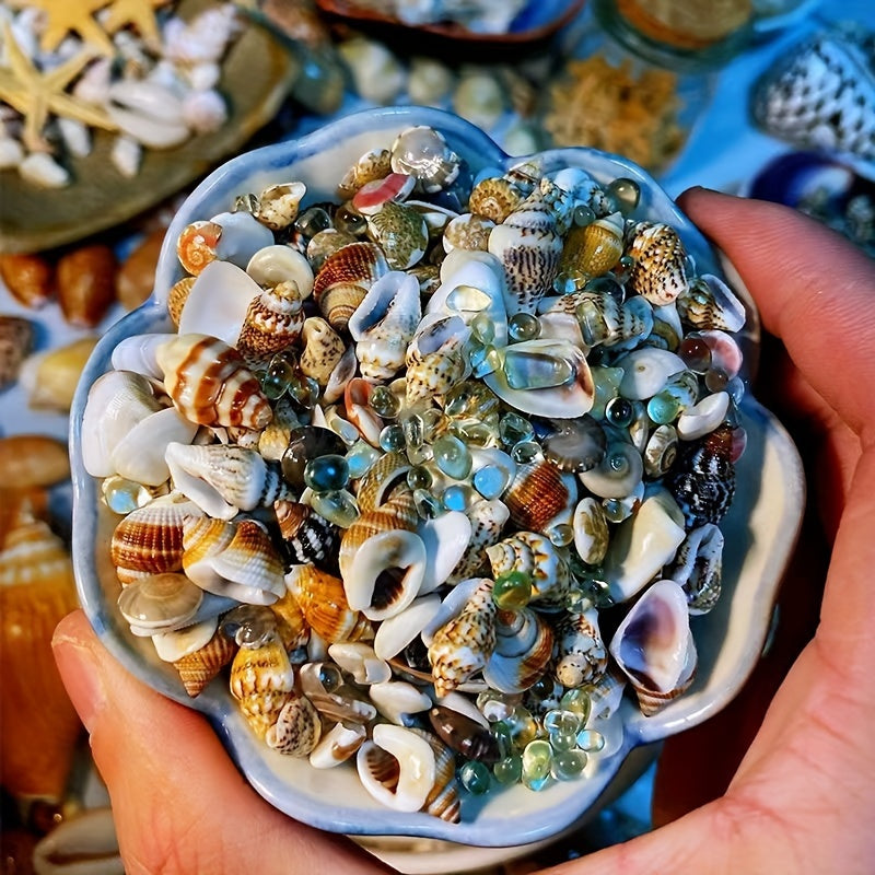 Assorted sizes 0.6cm-1.2cm Natural Conch Shells, 100/300/600pcs for aquariums, suitable for various fish species