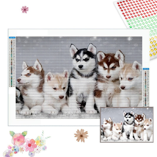 Five Dogs Diamond Art