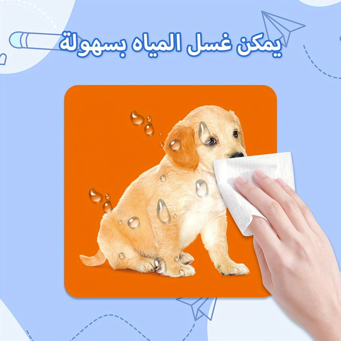 TEENYBABY 54-Card Arabic Language Learning Flashcards for Kids, Educational Animal Cards for Children Ages 1-6, Published by Sunshine Children'S Educational Association on 2023-09-22