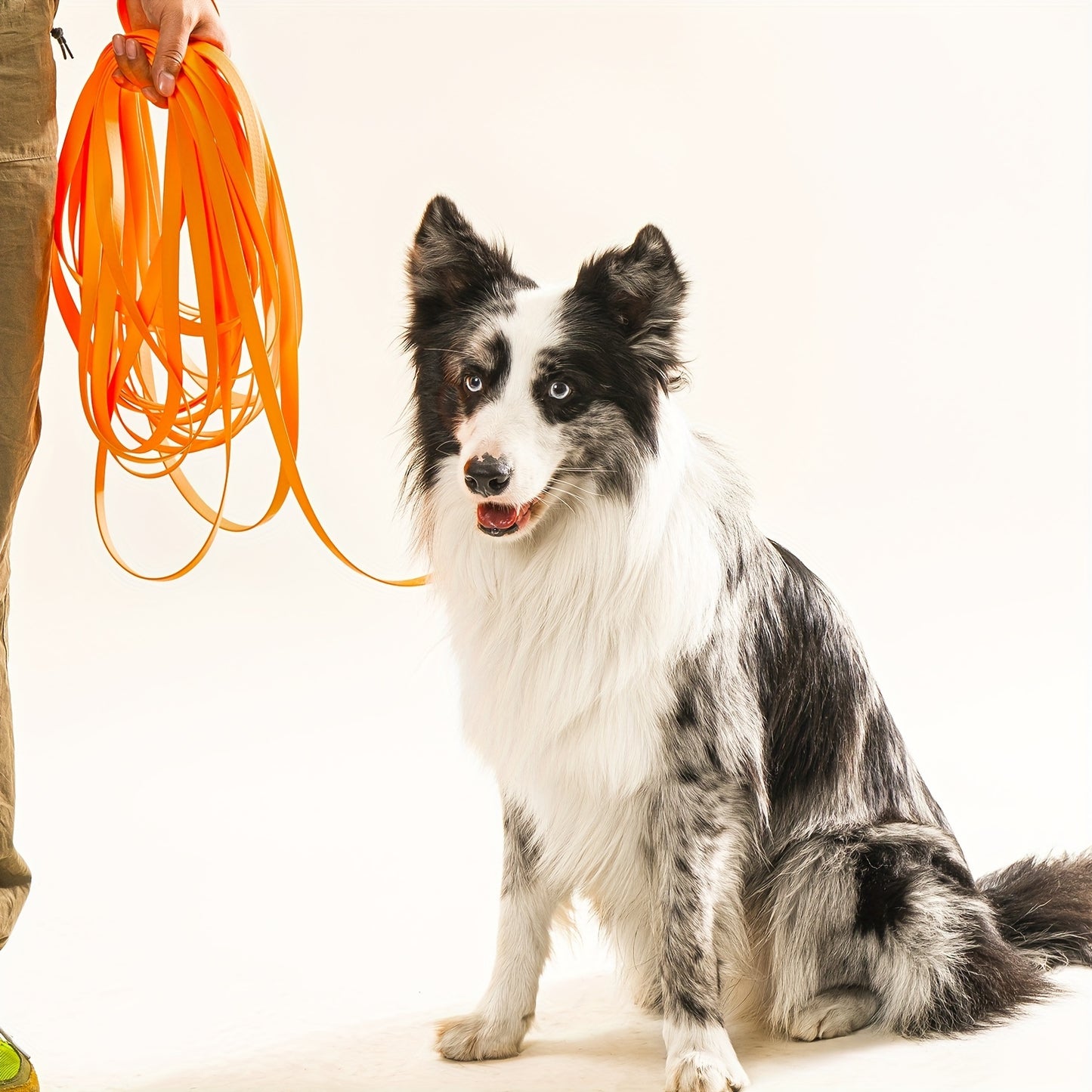 Durable Waterproof Dog Leash for Large, Medium, and Small Dogs.