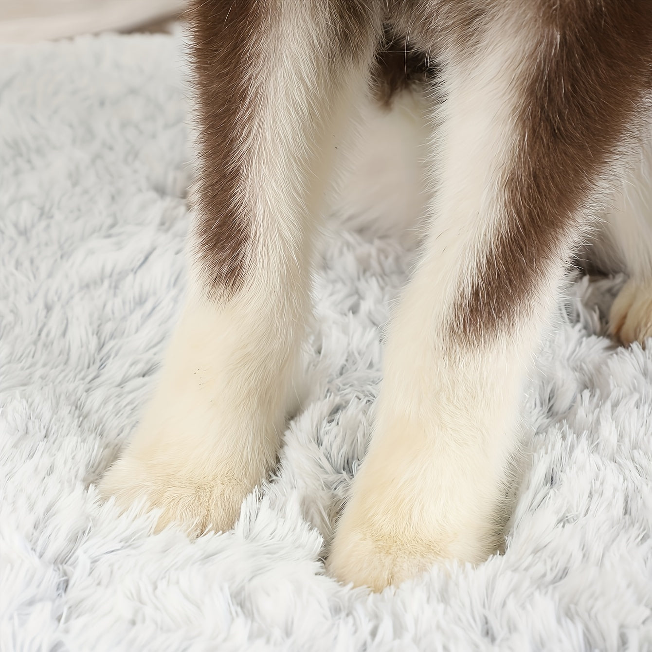 Soft plush dog bed with waterproof bottom for all sizes of dogs and cats. Comfortable, washable, and anti-slip.