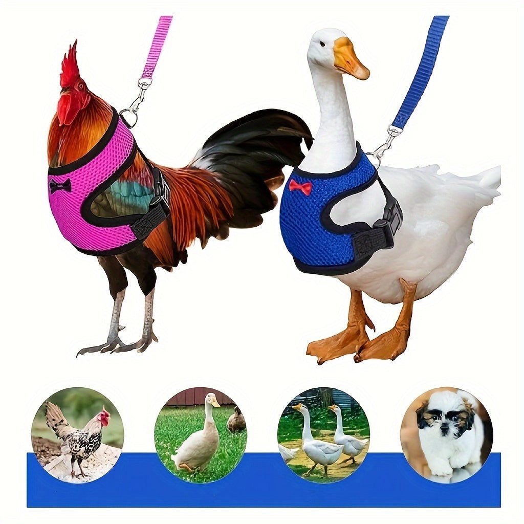 New adjustable chicken chest harness with leash for poultry training.