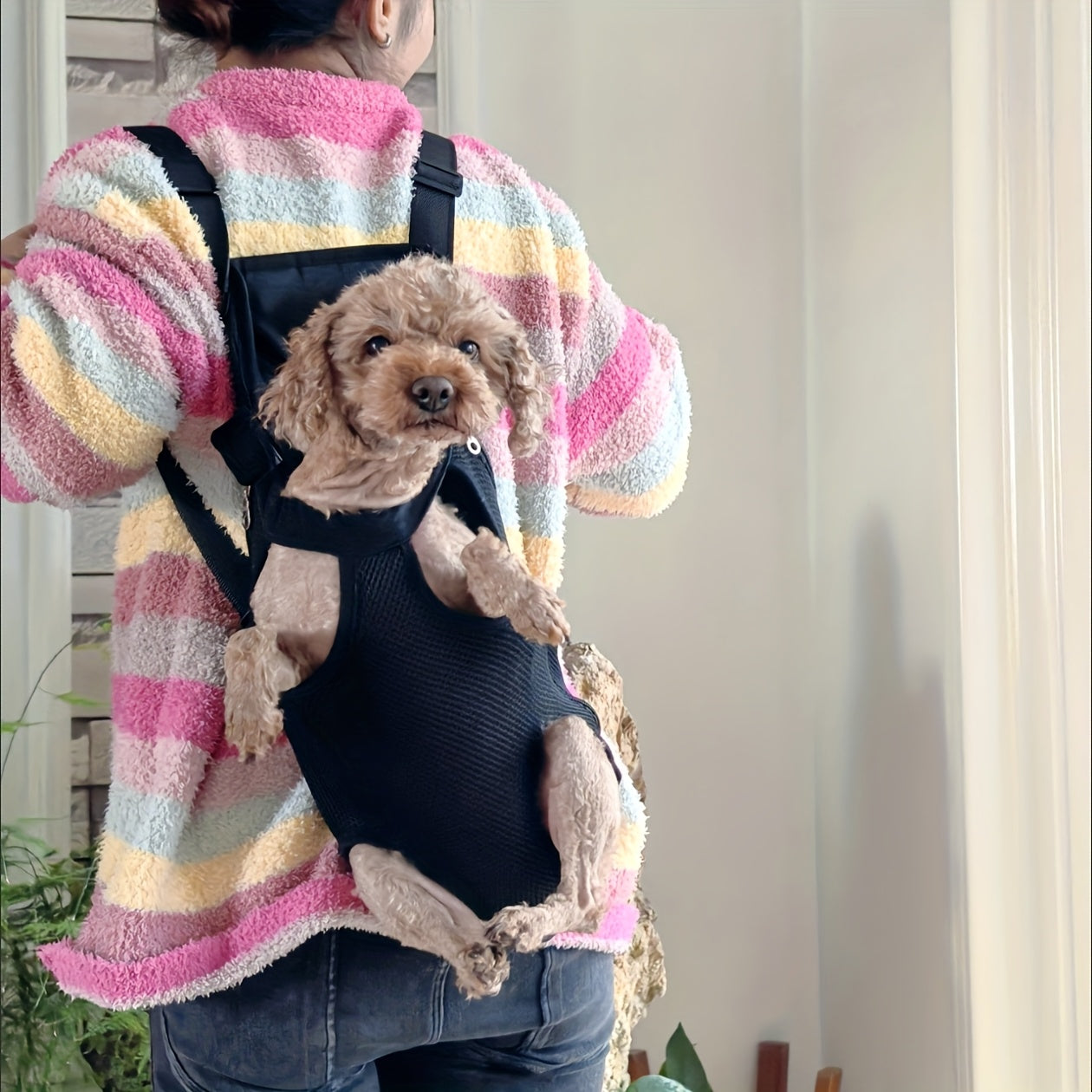 Pet backpack for small dogs and cats with breathable mesh, comfort straps, and a zippered carrier.