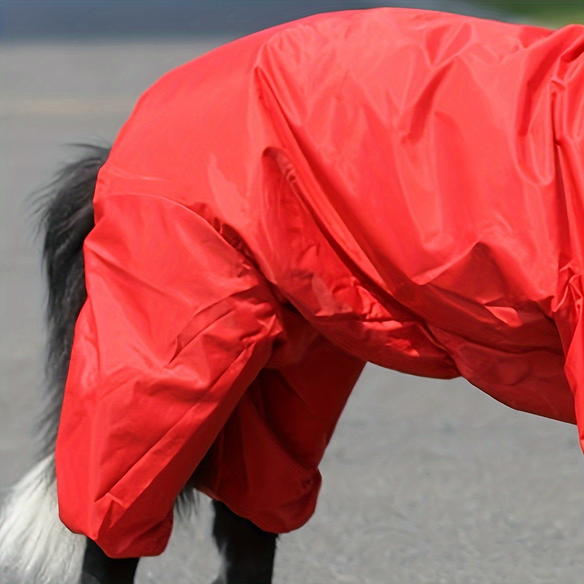 Red Large Dog Pet Raincoat