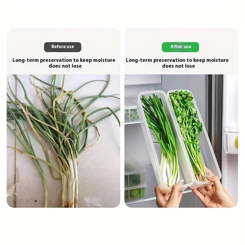 2 plastic storage containers with durable seals for keeping vegetables fresh in the refrigerator, including cilantro, green onions, and mint.