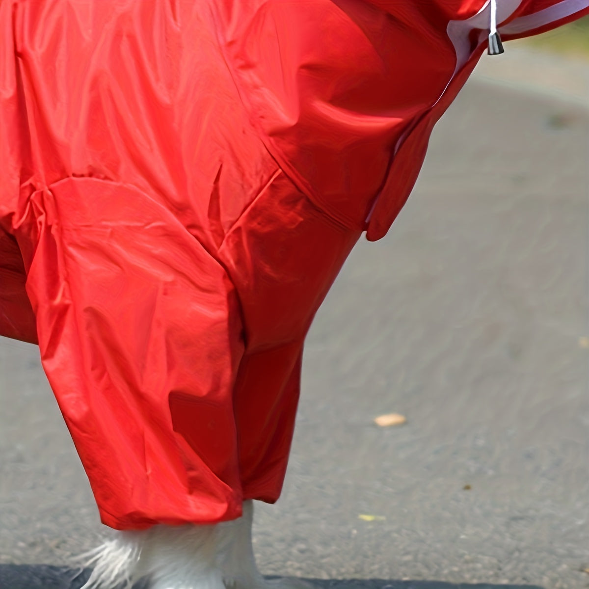 Red Large Dog Pet Raincoat