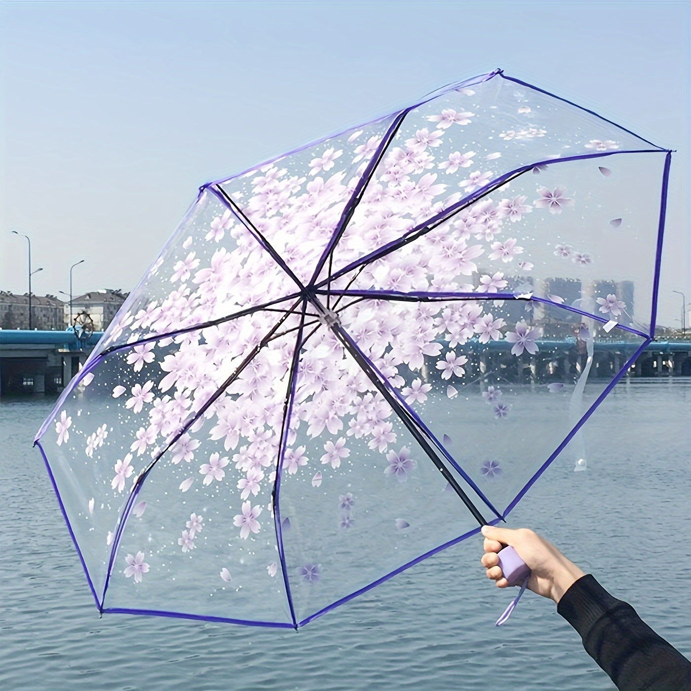 1-piece foldable clear outdoor umbrella, cute design.