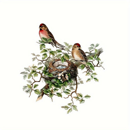 Elegant Bird's Nest & Branch Wall Sticker - Easy to Remove, Self-Adhesive PVC Art for Home Decoration, Ideal for Living Room, Bedroom, and Entryway