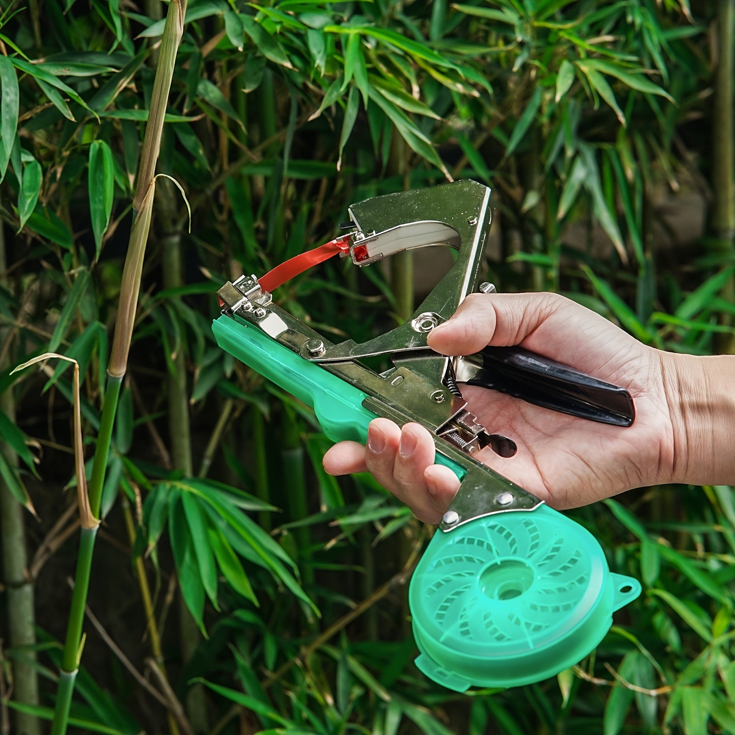 Adjustment machine set for grape and tomato vines, tomato and cucumber planting, rose roadside green plants, and fixing various stem and vine plants. Durable set includes 10 rolls of tape