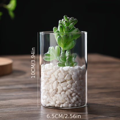 1 piece minimalist clear glass flower vase for floral wedding decor.