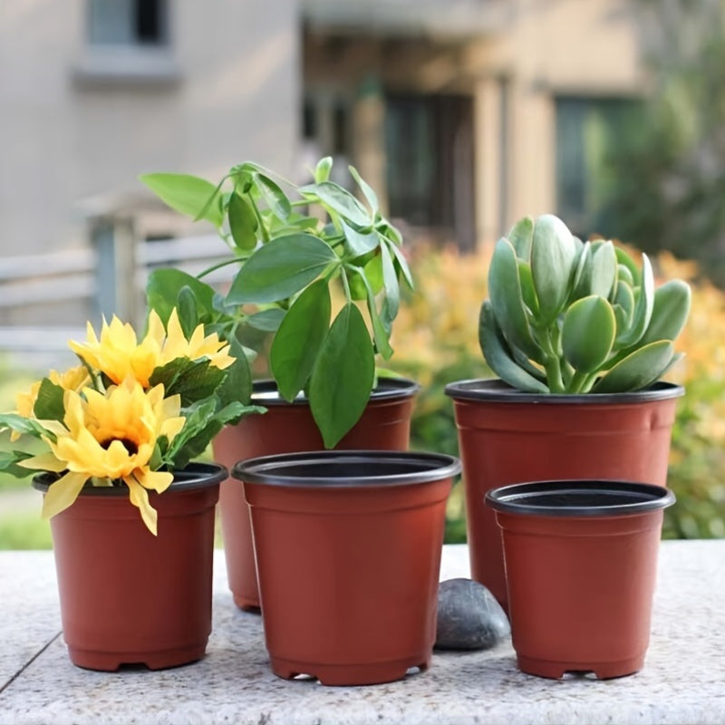 50 seedling pots with drainage holes for growing succulents, vegetables, saplings, and flowers.