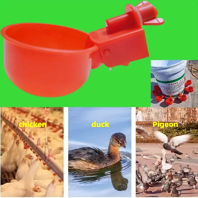 Battery-free automatic plastic water fountain for chickens and poultry.