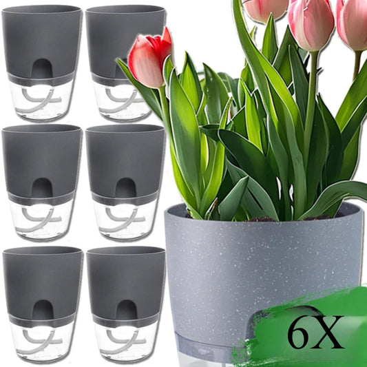 6 self-watering planters with double layer design, lightweight plastic pots, rope system, and easy injection port for indoor gardening.