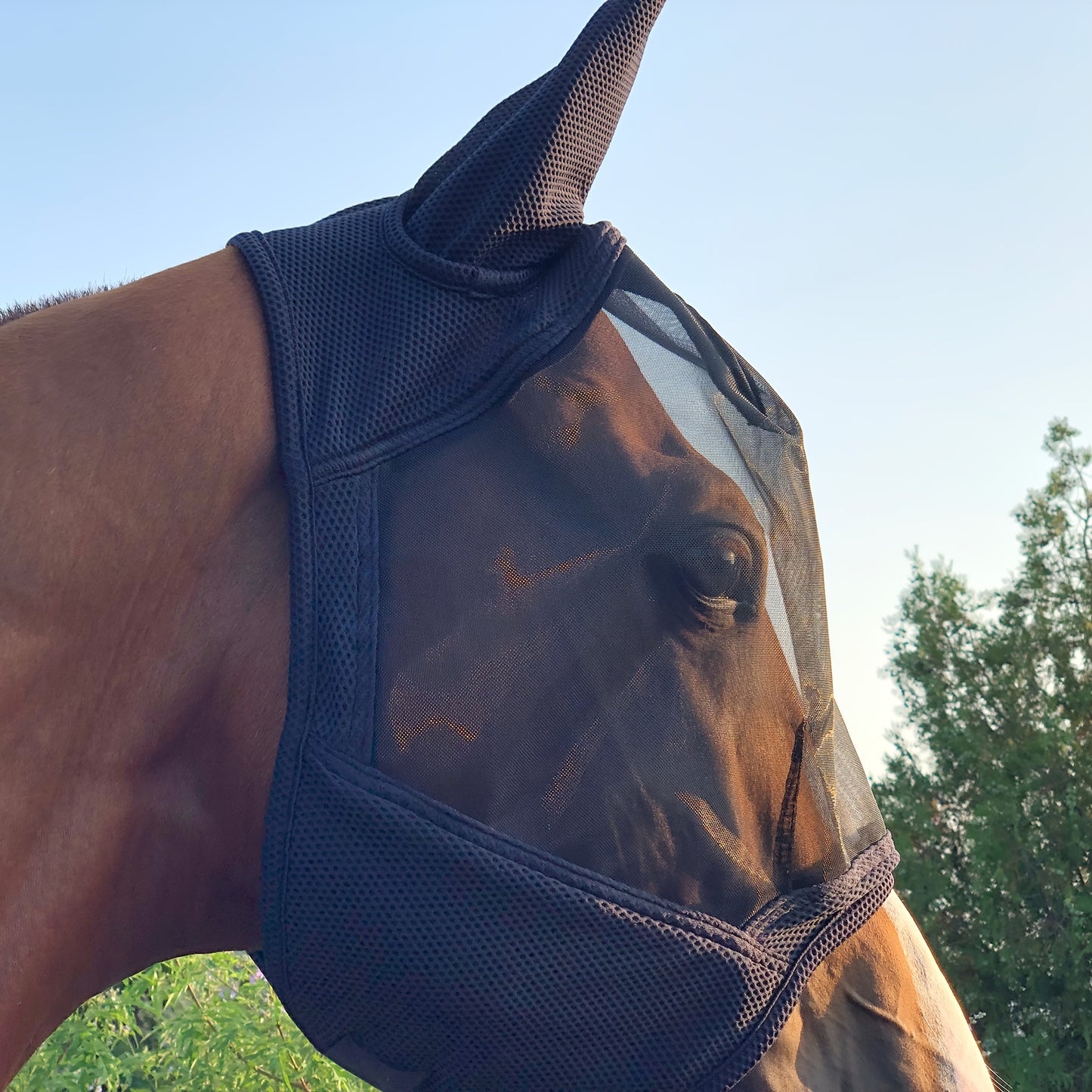 Mosquito and fly horse mask offers 86% UV protection, breathable 3D mesh with high elasticity.