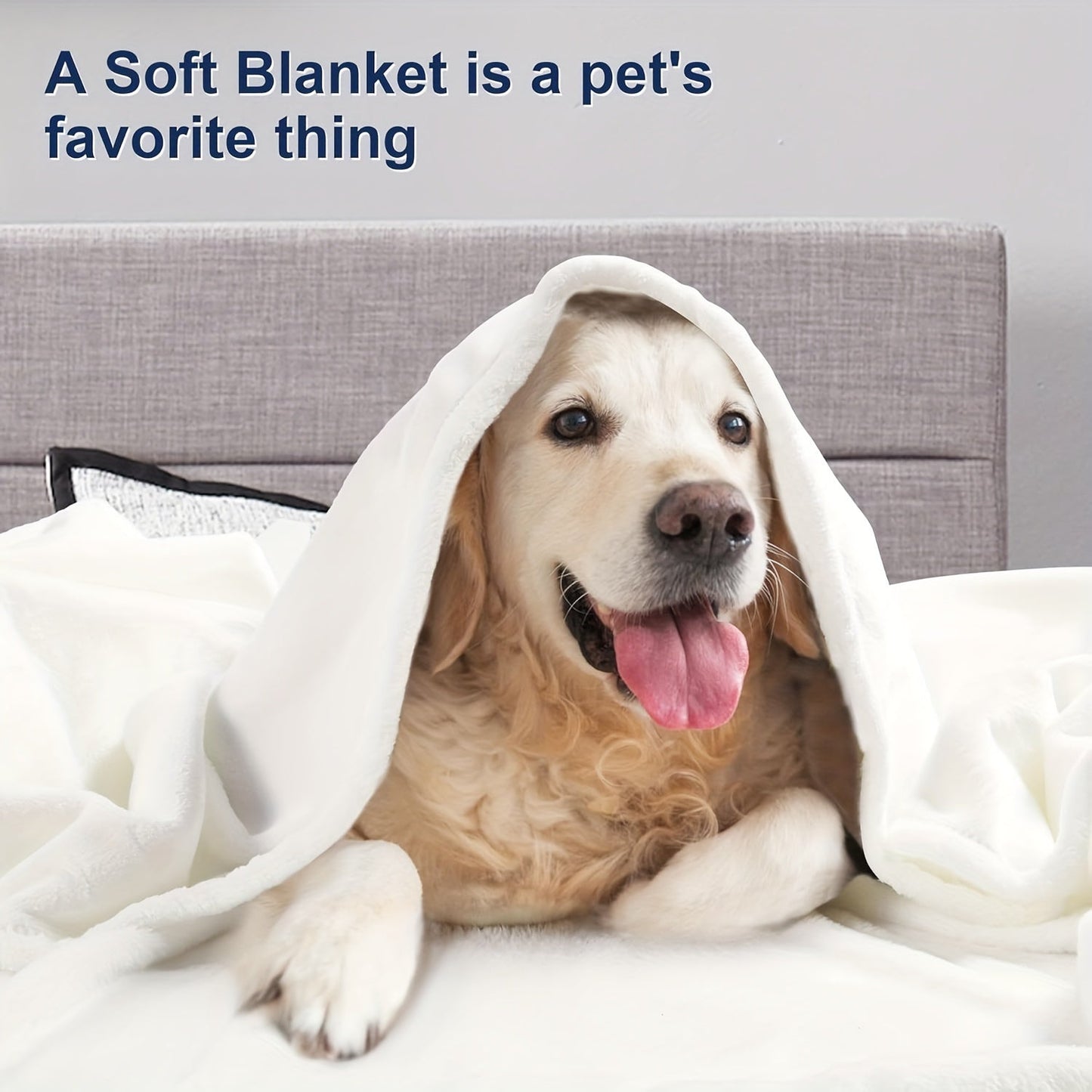 Soft Cozy Plush Fleece Throw Blanket in Solid Color Shaggy Minky Lightweight Fuzzy Flannel, Perfect for Bedroom. This Luxury Washable Warm Velvet Blanket is Ideal for Couch, Sofa, or Pet, and is Breathable.