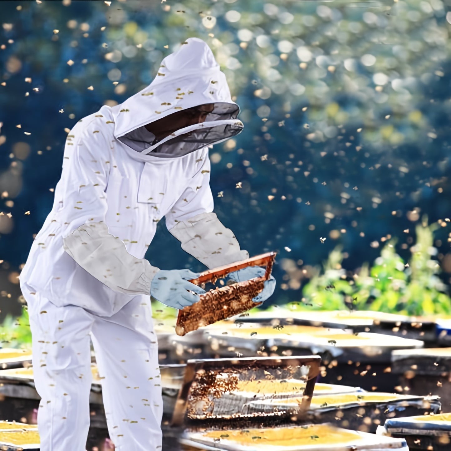 Durable full-body suit with veil hood for professional urban beekeeping.