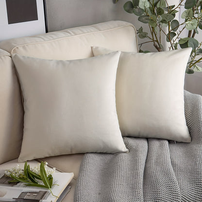 Set of 2 velvet soft square throw pillow covers, 45.72*45.72cm, modern farmhouse style, no pillow inserts included.