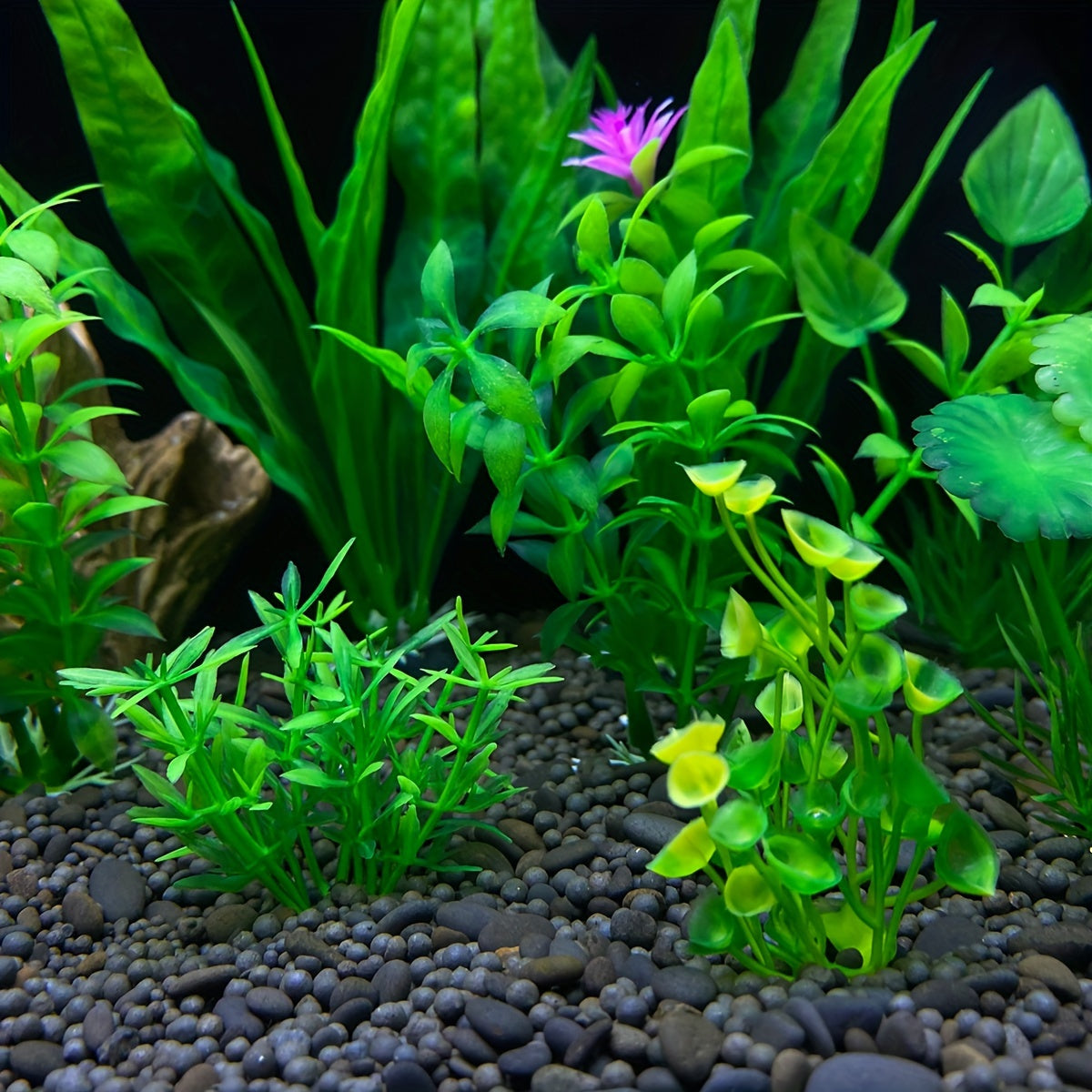 10pcs green plastic plants for fish tank decoration.