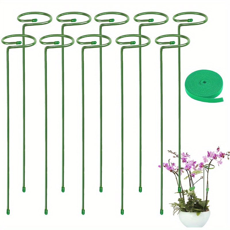 5/10 Metal garden plant stakes for single-stemmed flower support hoops, ideal for amaryllis, orchids, lilies, roses, and peonies.