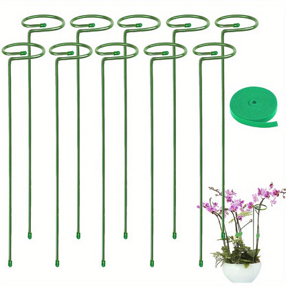 5/10 Metal garden plant stakes for single-stemmed flower support hoops, ideal for amaryllis, orchids, lilies, roses, and peonies.