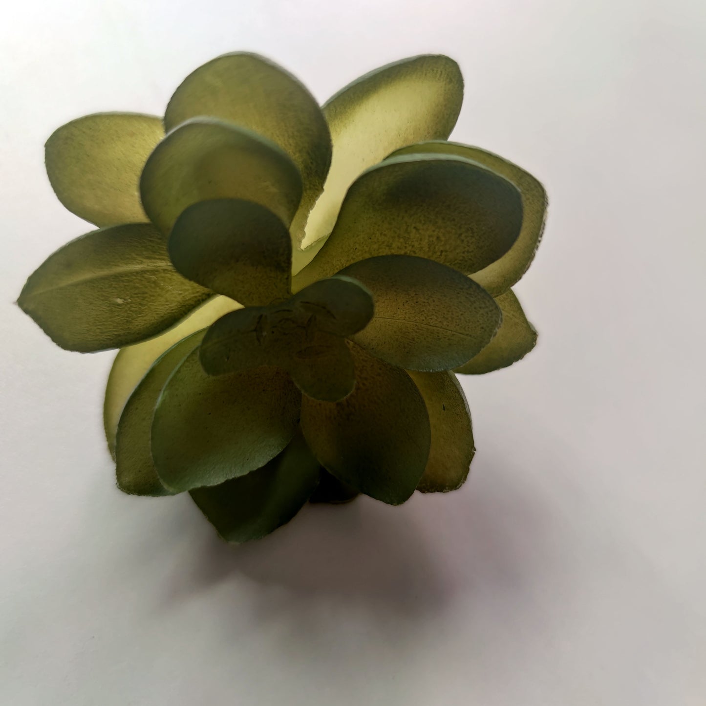 1pc Small artificial succulent plants for home or table decor.