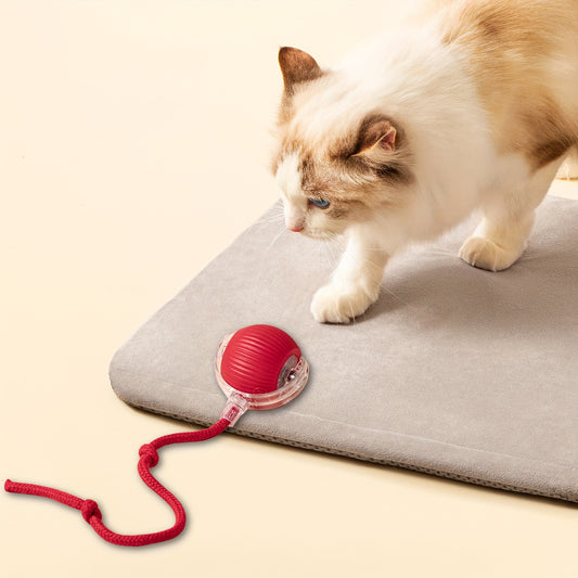 USB rechargeable cat toy with long tail, interactive ball for all breeds, plastic material, 36V or below voltage, yellow and purple light indicators.