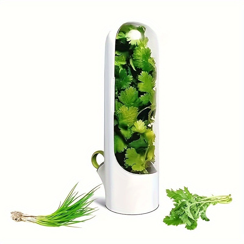 Set of 3 Transparent Containers to Keep Vegetables and Fruits Fresh - Herb Storage Containers, Handy Kitchen Tool for Preserving Freshness for a Short Period of Time