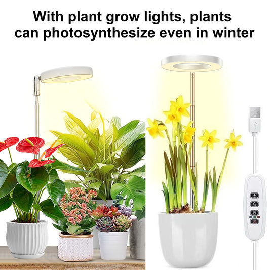 Adjustable LED plant growth lights with full spectrum, timer, and height options for indoor plants. Powered by USB for sowing and succulents.