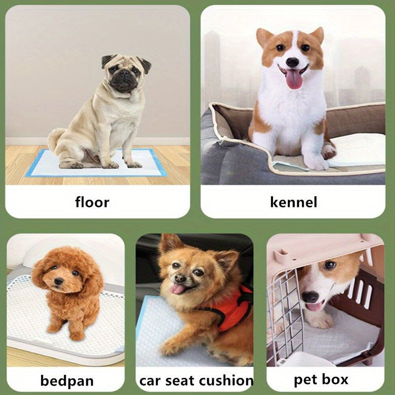 20/40/50/100pcs Disposable Dog Pee Pads with High Absorbency and Leak-Proof Design for Potty Training.