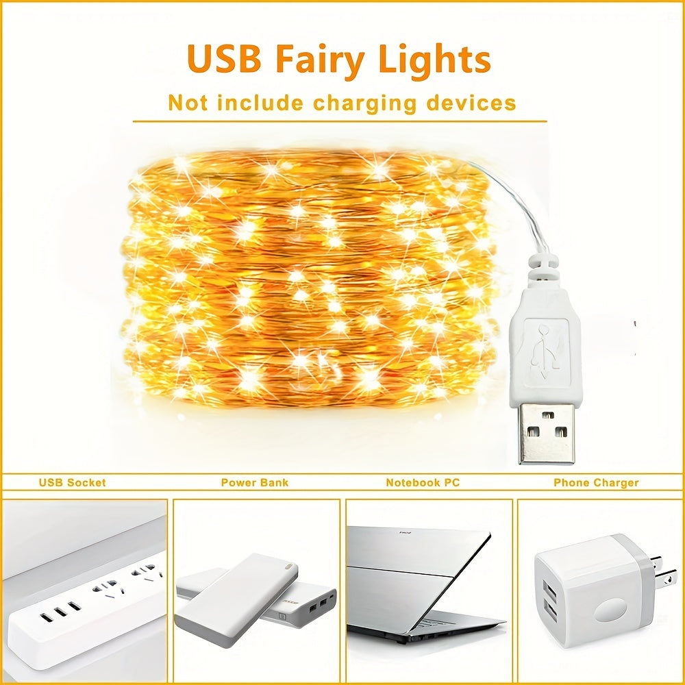 1pc USB Fairy String Lights with 20/50/100 LED bulbs, perfect for holiday, party, wedding, festival, and indoor decorations.