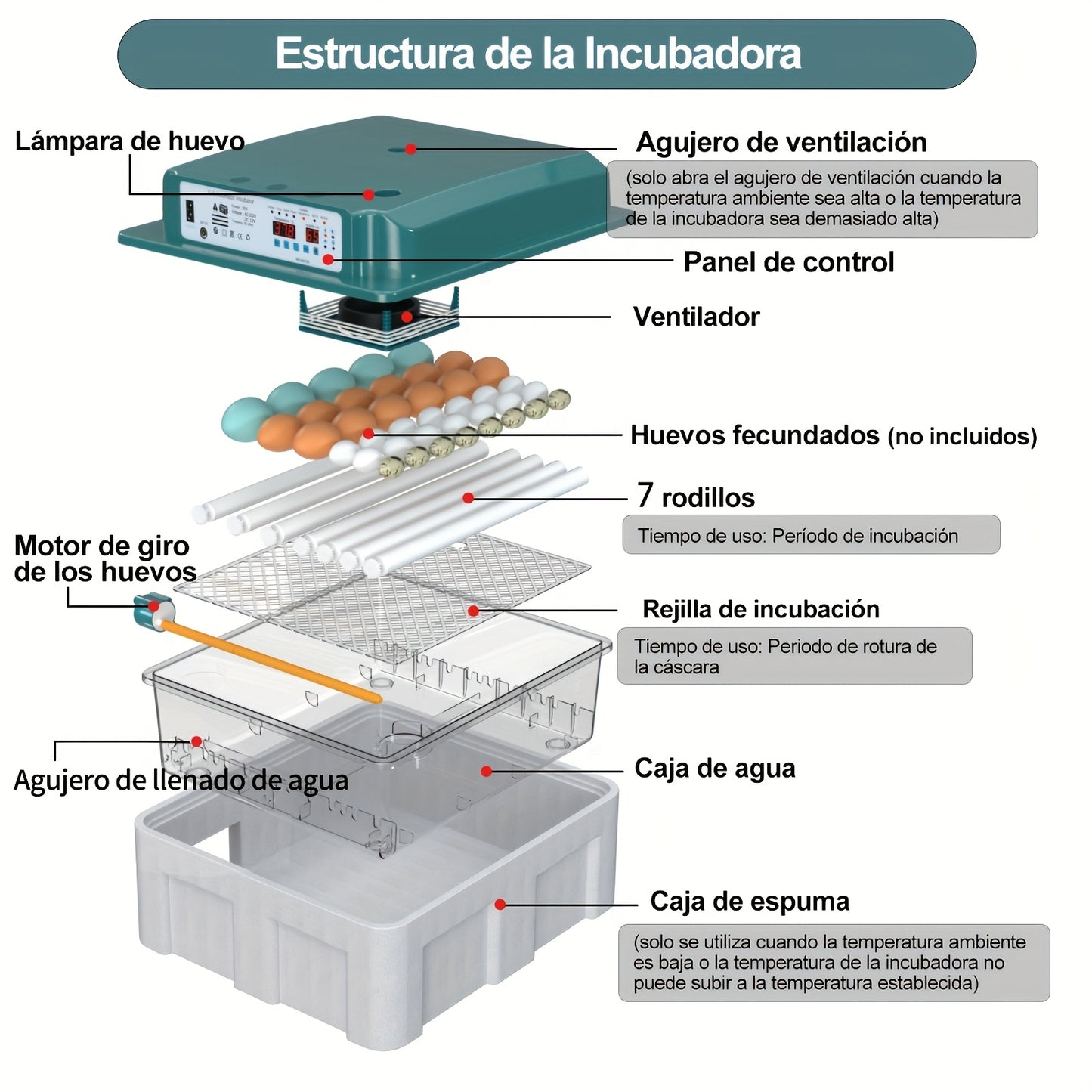 An intelligent automatic incubator can hatch 36 eggs simultaneously, with automatic water addition, temperature, and humidity control. It has one-button setting for incubation modes, smart