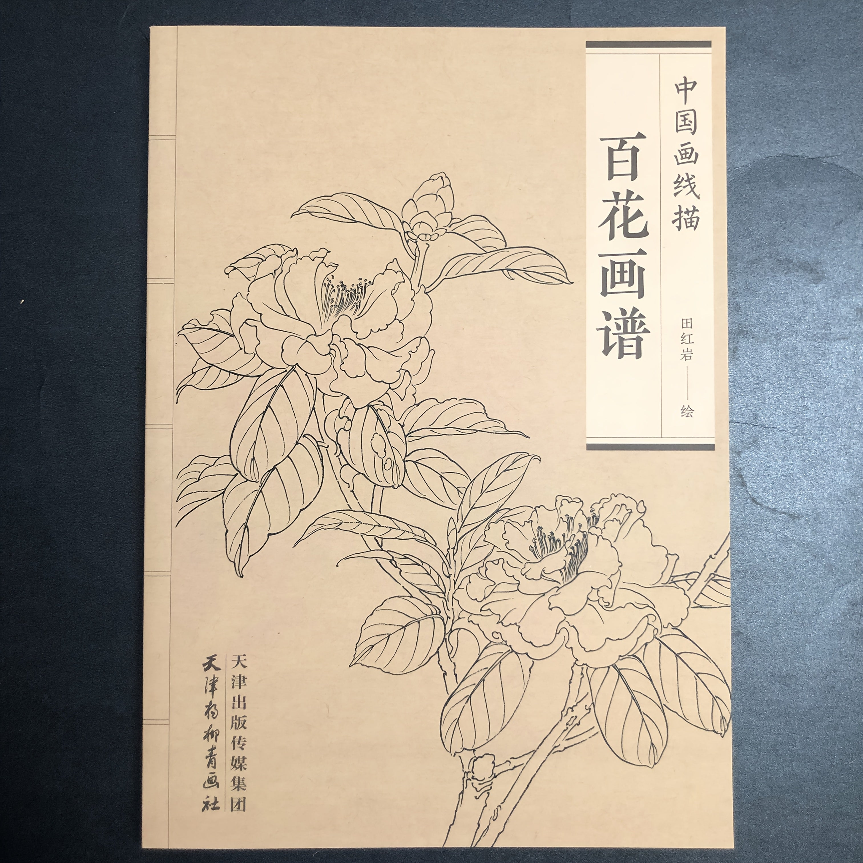 Guide to Traditional Chinese Ink Floral Painting. Chinese Version.