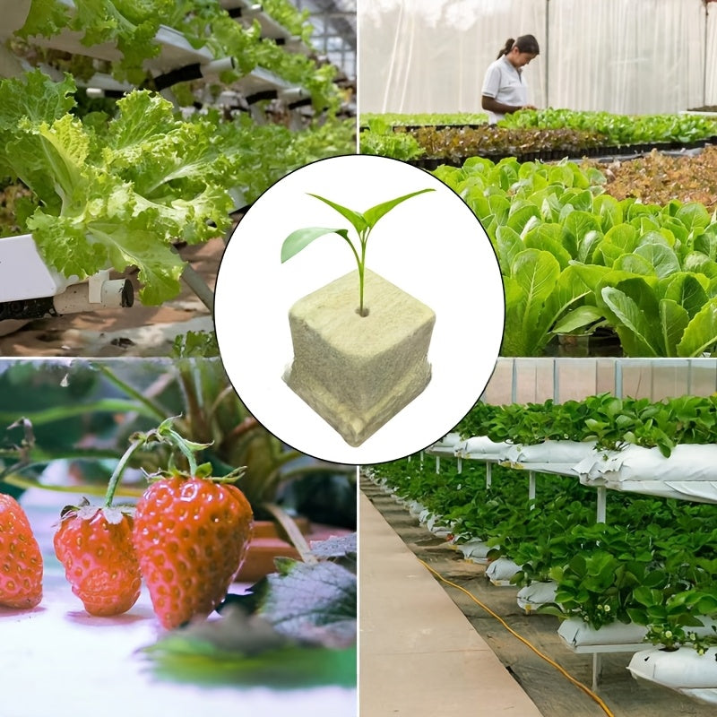 Hydroponic grow kits available in 50, 100, or 200 pieces, featuring ventilated soilless plant sprouting system. Non-fertilized, breathable, moisturized plant starter blocks measuring