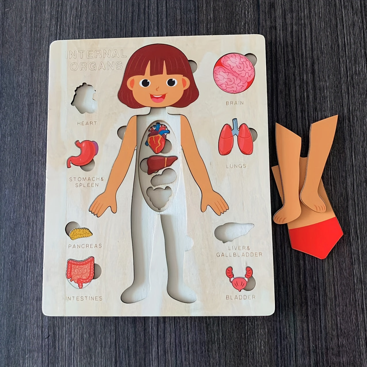 Children's Wooden Puzzle of the Human Body, Educational Tabletop Toy for Early Childhood Development, Encourages Parent-Child Interaction, Perfect for Mother and Baby Bonding, Ideal Toy for Children