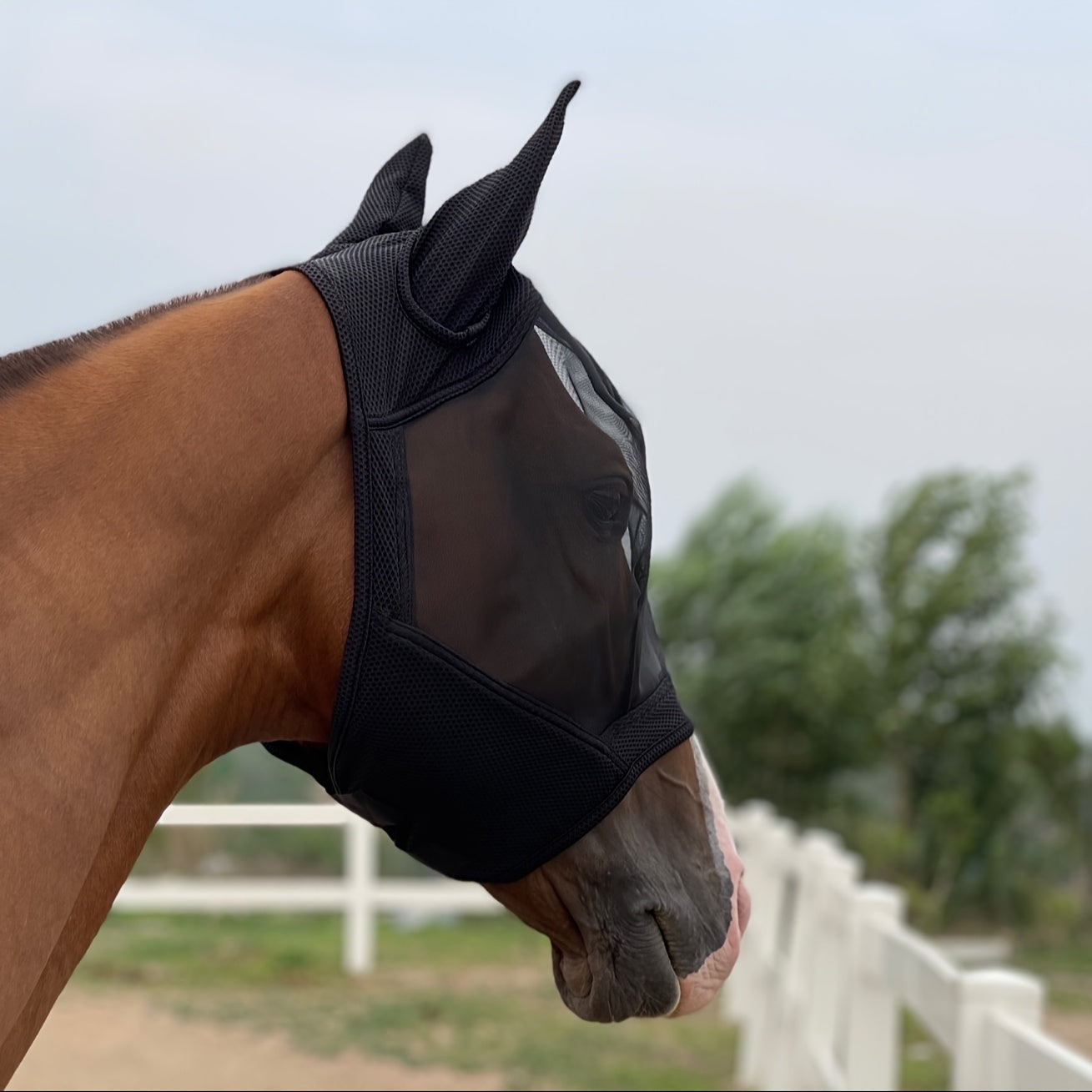 Mosquito and fly horse mask offers 86% UV protection, breathable 3D mesh with high elasticity.