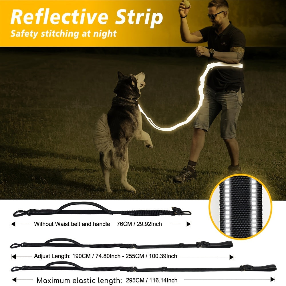 6-in-1 Hands-Free Dog Leash for Medium to Large Dogs - 3.05m, Striped Polyester, Full Metal Fittings, Safety Car Seat Belt, Shock Absorbing Bungee