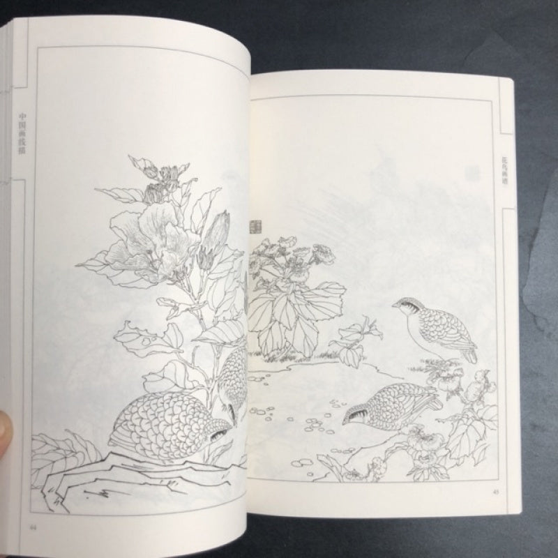 Chinese version of Flower and Bird Painting Manual with Line Drawings