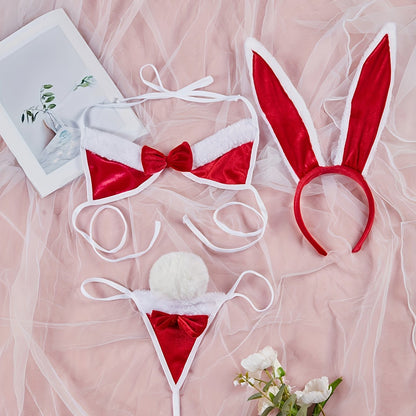 Stylish Rabbit Costume Set for Adult Role Play or Themed Parties: Headband, Bralette, Thong with Bunny Tail incl.