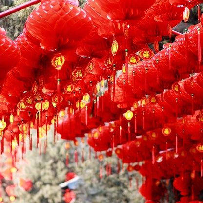 10 classic red honeycomb lanterns, paper hanging decorations for various occasions, no electricity necessary, suitable for festive home and garden decor.