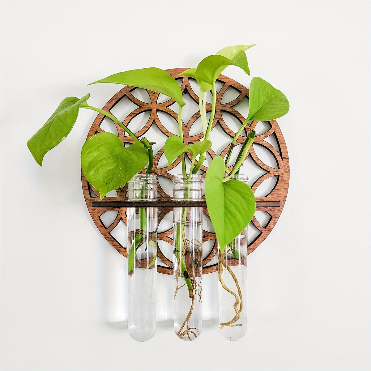 Stylish Wall-Mounted Propagation Station featuring 3 Test Tubes - Ideal for Hydroponic Plant Cuttings, Home Decor, and Gifts