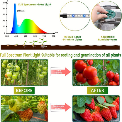 Seed germination kit with 4 trays, high dome, 160 cells, 8 LED lights, timer, 3 modes for home gardening and indoor greenhouse seedlings.