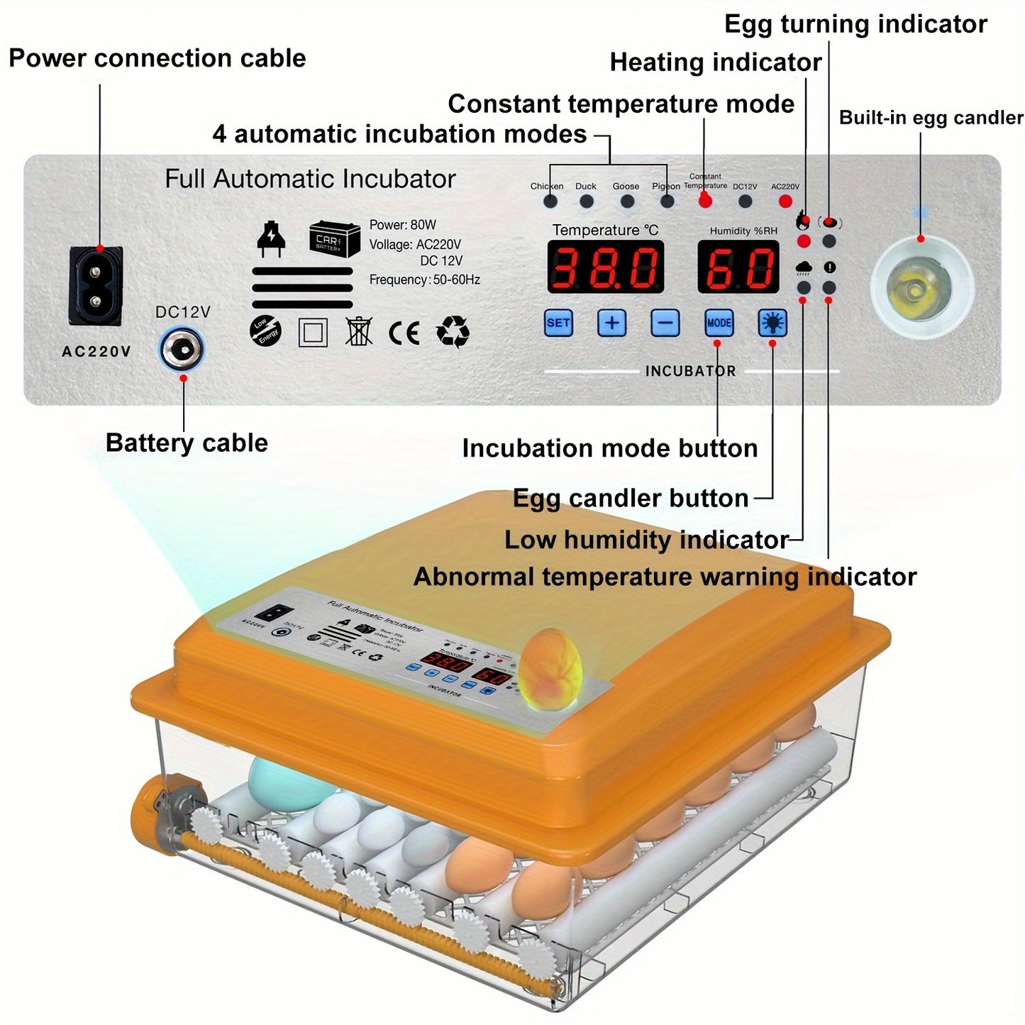 CoInceptus Automatic Egg Incubator with LED Display - Controls Humidity & Temperature, Holds 36 Eggs, Rotates Automatically, Includes Egg Light - Orange