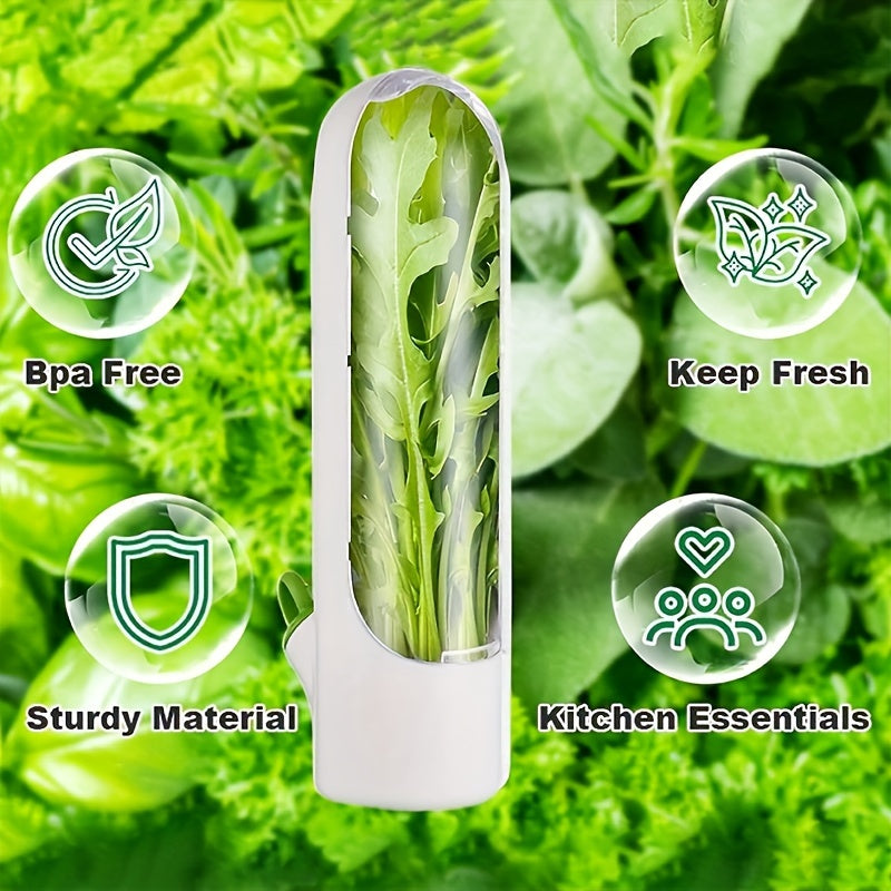 Set of 3 Transparent Containers to Keep Vegetables and Fruits Fresh - Herb Storage Containers, Handy Kitchen Tool for Preserving Freshness for a Short Period of Time