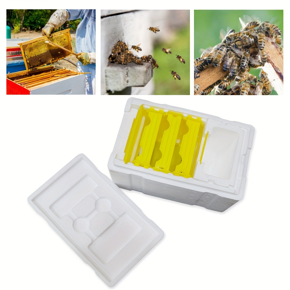 Mini Queen Bee Mating Box - Styrofoam & Plastic Frame for Beekeeping Supplies