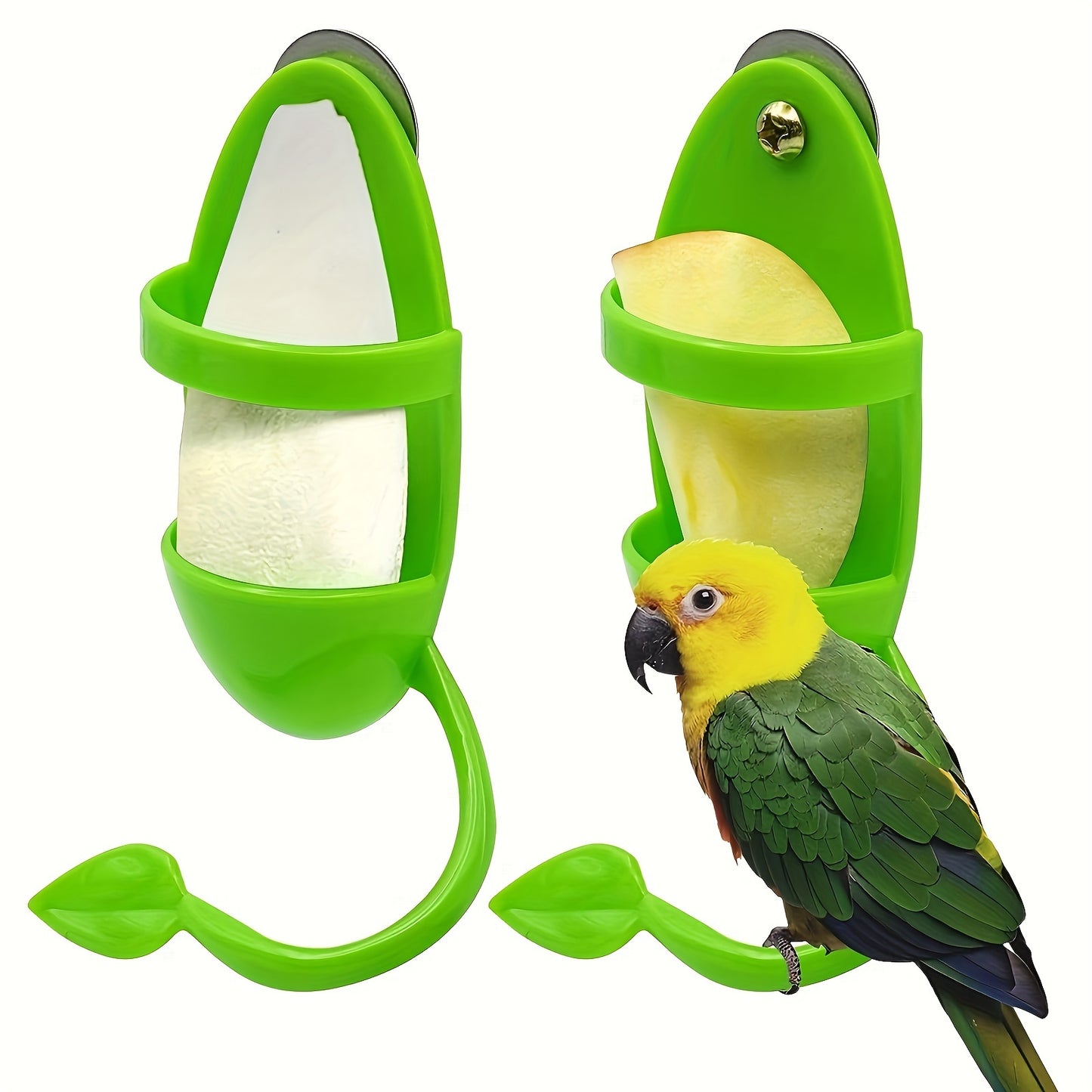 Convenient bird cuttlebone holder for healthy beaks and entertainment in birdcage.