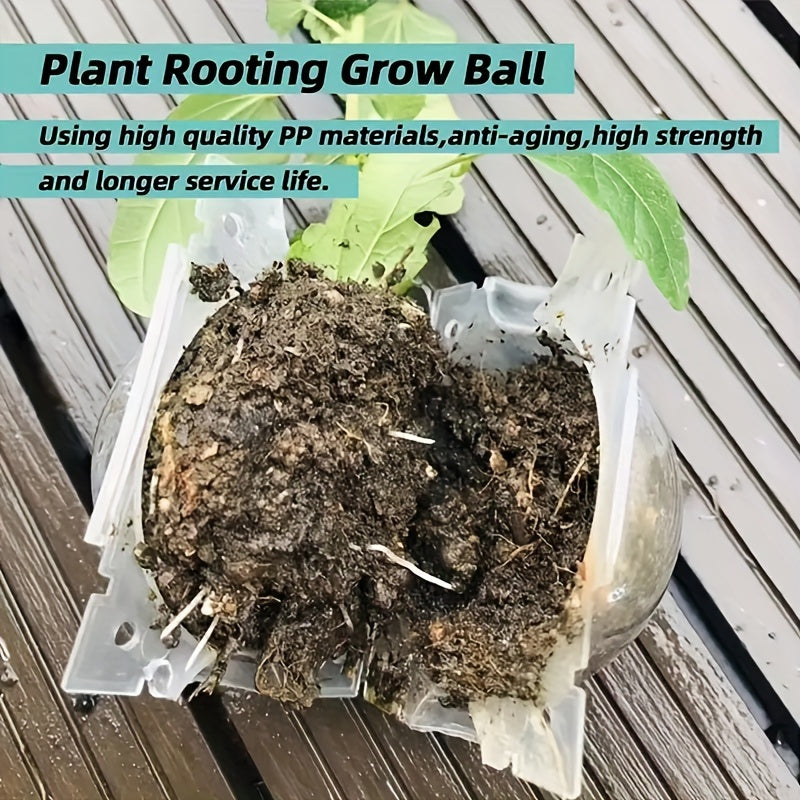 Plant Root Growth Box available in 1pc, 10pcs, and 20pcs sizes for rapid plant propagation. Reusable, non-damaged high-pressure device for air stratification and grafting.